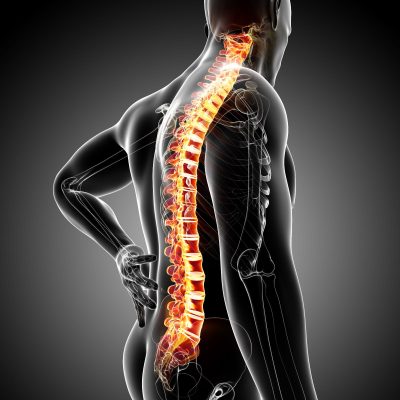 low back pain fsm massage therapy